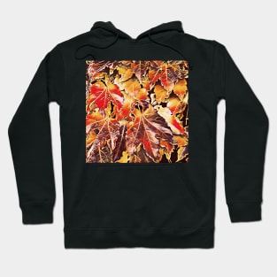 Vivid Autumn Leaves Hoodie